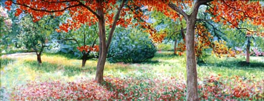 Backyard.jpg