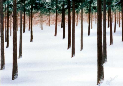 Winterwoods.jpg