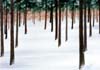 Winterwoods.jpg