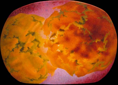 Bio painting1