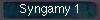  Syngamy 1 